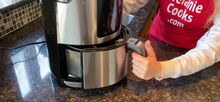 How to Cook Rally's Fries in an Air Fryer