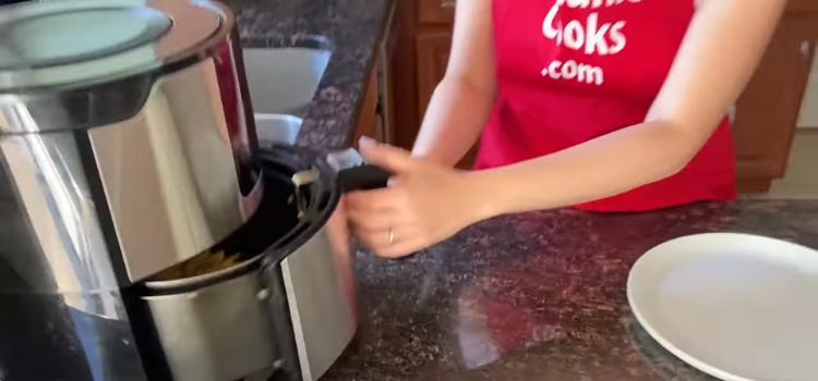 how to cook crinkle cut fries in air fryer